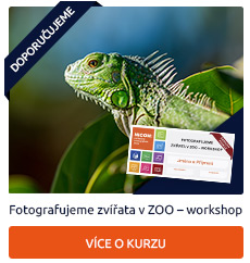 Dárkový poukaz na workshop Fotografujeme zvířata v ZOO